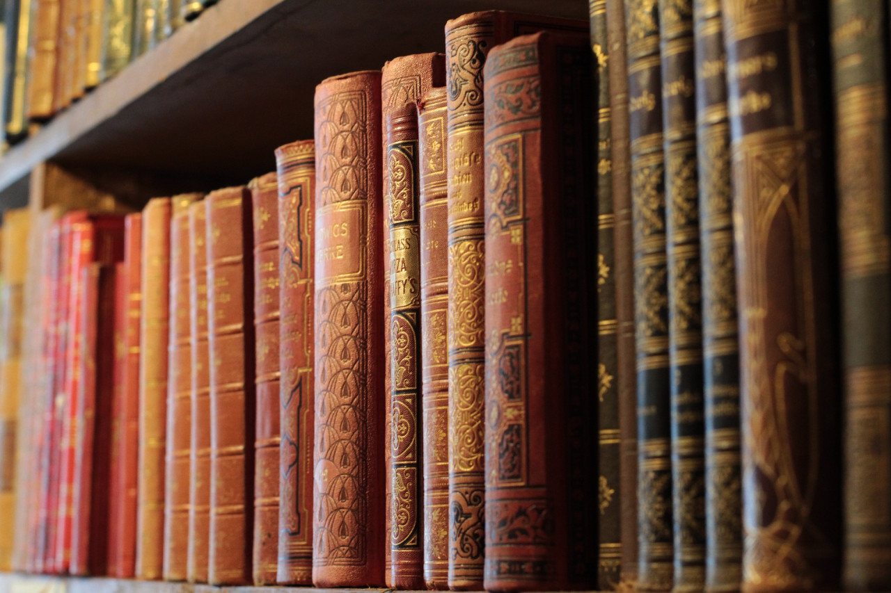 Biblioteca Muro