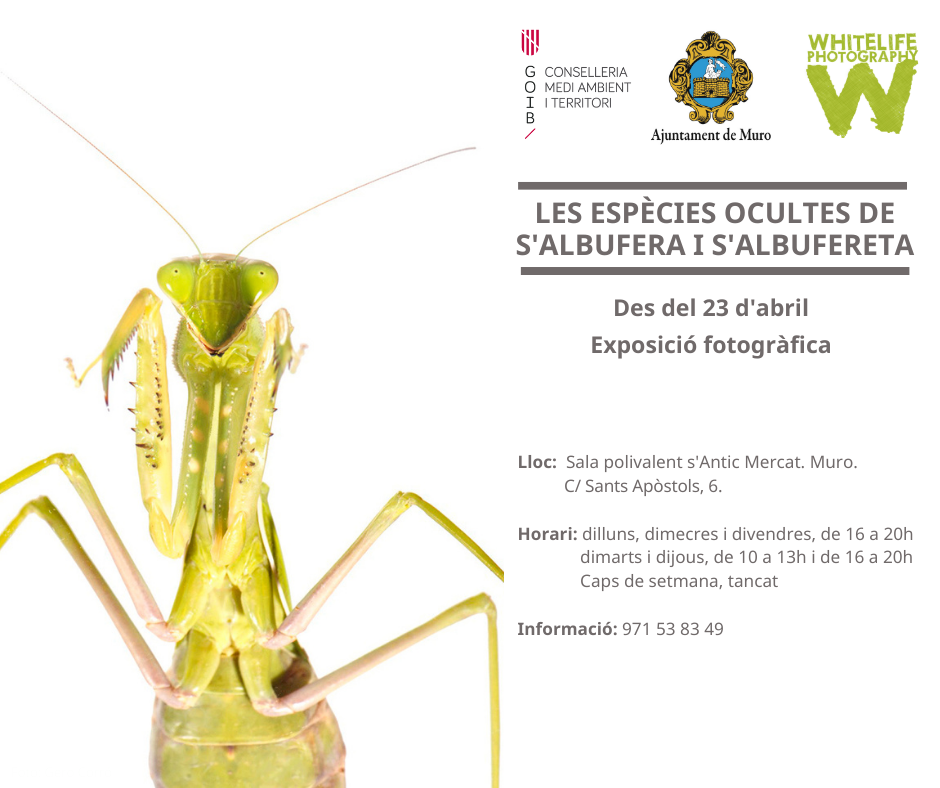 "Les espècies ocultes de s'Albufera i s'Albufereta"