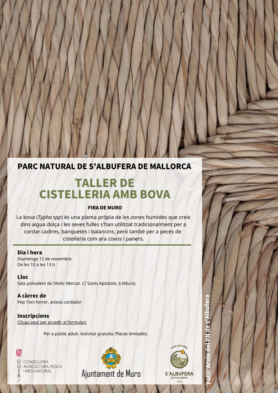 Taller de cistelleria amb bova