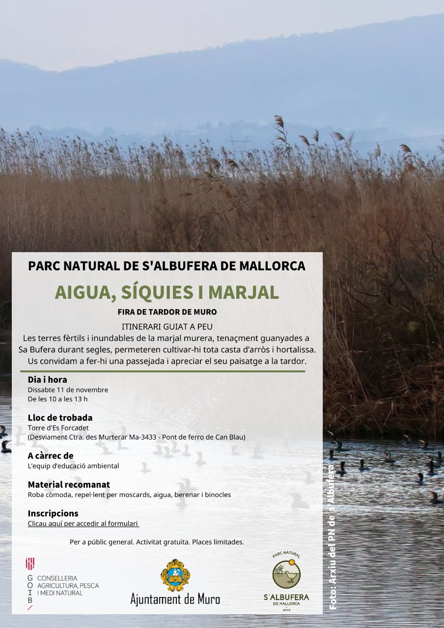Itinerari guiat "AIGUA, SÍQUIES I MARJAL" al PN de s'Albufera