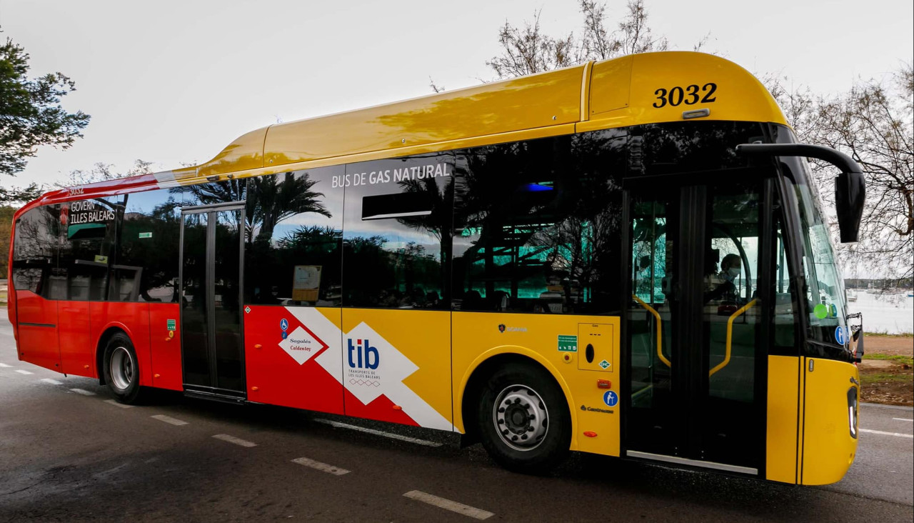 tib