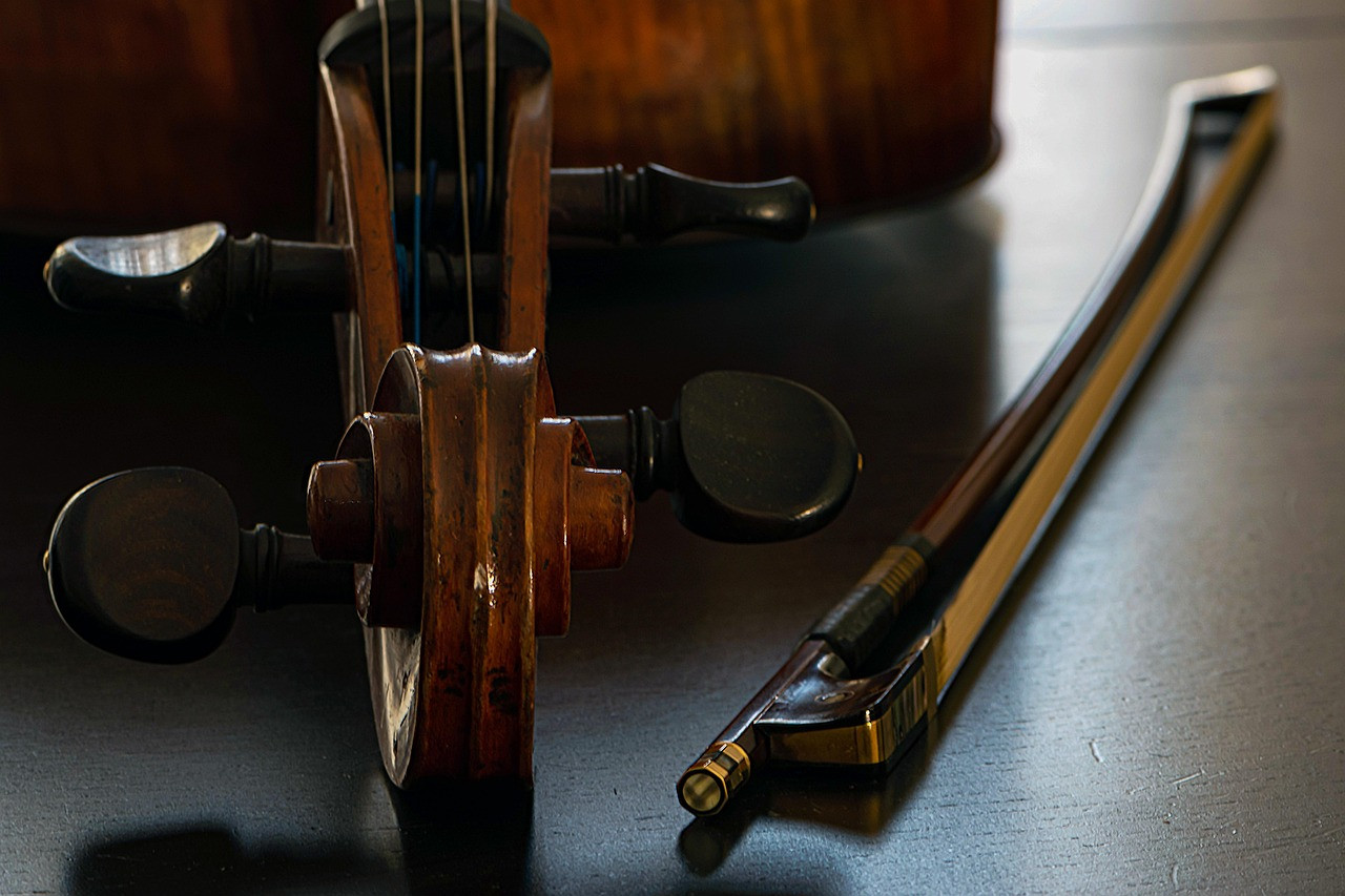 violoncelo 
