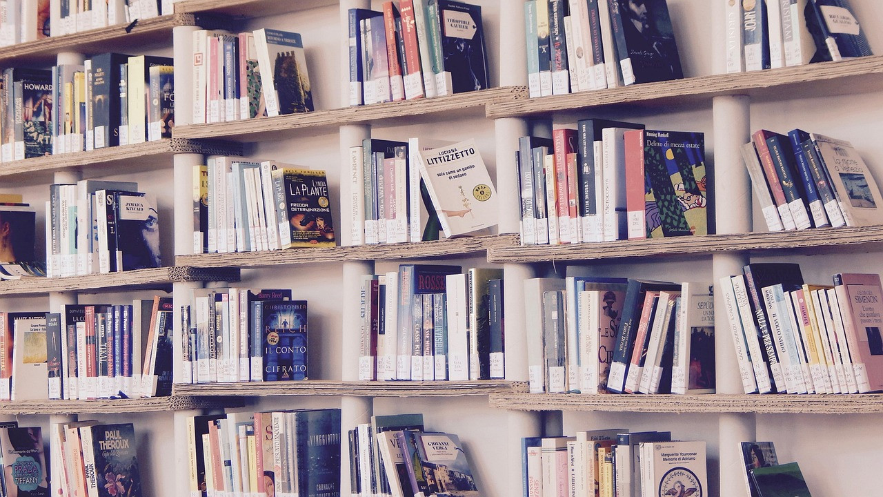 bibliotecari/a