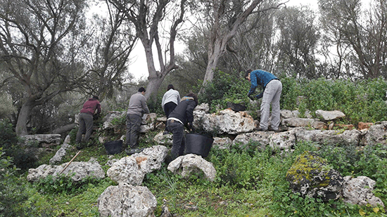 Arrenca la tercera intervenció arqueològica a Muro