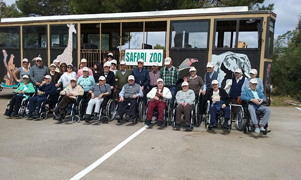 Els nostres majors de la Residència Reina Sofia van anar ahir d'excursió al Safari Zoo Sa Coma
