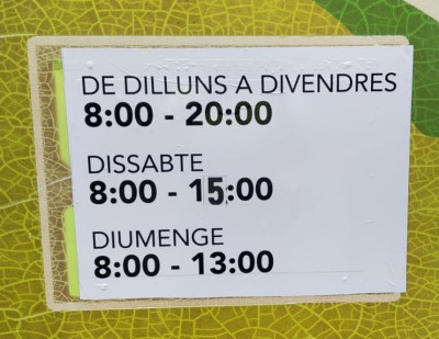 CÀMERA VIGILÀNCIA PUNT VERD