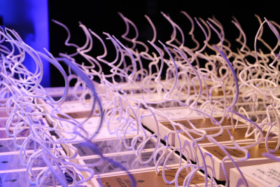 VIII GALA DE L’ESPORT