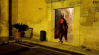Revetlla Sant Antoni 2017 Muro