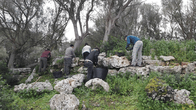Arrenca la tercera intervenció arqueològica a Muro