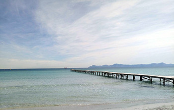 Platja de Muro reb les distincions de Bandera Blava i  Camins Blaus i el guardó de Salvament i Socorrisme