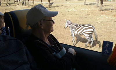 Els nostres majors de la Residència Reina Sofia van anar ahir d'excursió al Safari Zoo Sa Coma