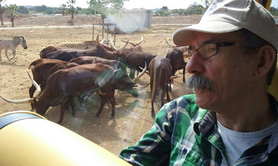 Els nostres majors de la Residència Reina Sofia van anar ahir d'excursió al Safari Zoo Sa Coma