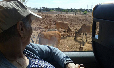 Els nostres majors de la Residència Reina Sofia van anar ahir d'excursió al Safari Zoo Sa Coma
