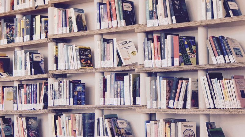bibliotecari/a