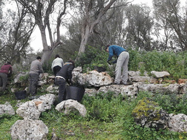 Arrenca la tercera intervenció arqueològica a Muro