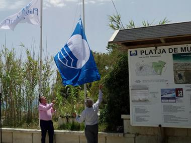 Platja de Muro escenari de l'entrega de les Banderes Blaves de Mallorca