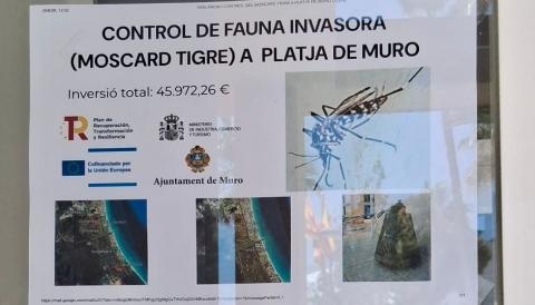muro 